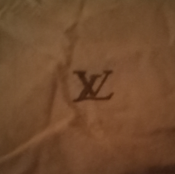 Louis Vuitton Bag - Picture 1 of 3